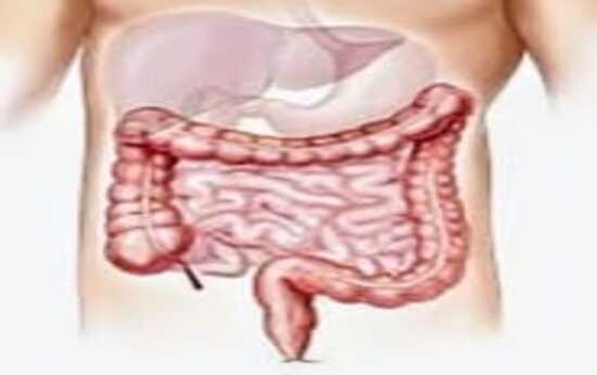 IRRITABLE BOWEL SYNDROME & DIGESTIVE PROBLEMS,.