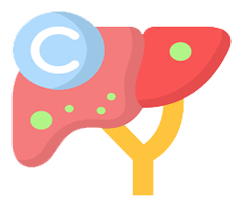 Hepatitis C icon