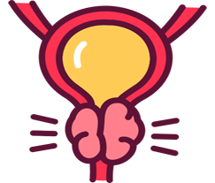 Prostatitis icon
